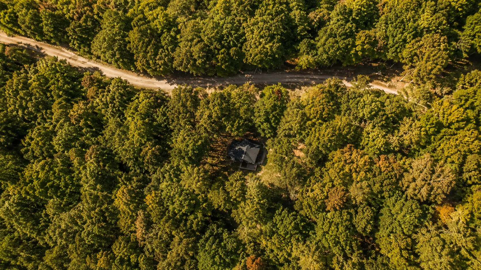 Aerial view of the cabin surrounded by dense forest