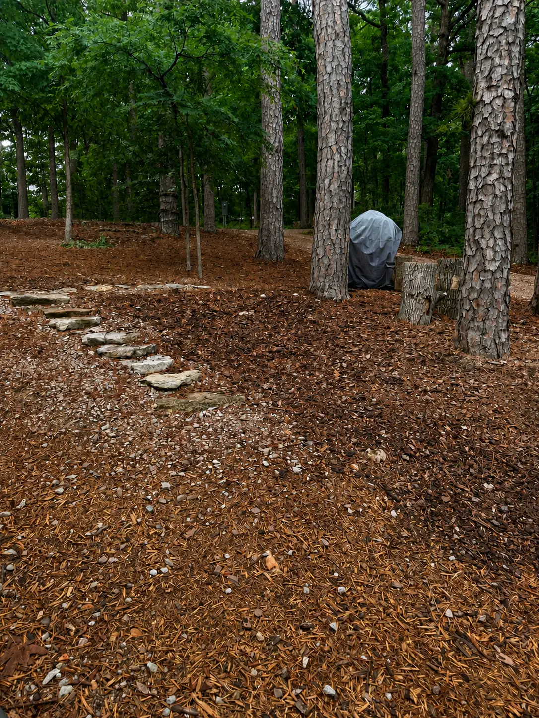 Stone step path through the pines to the covered grill