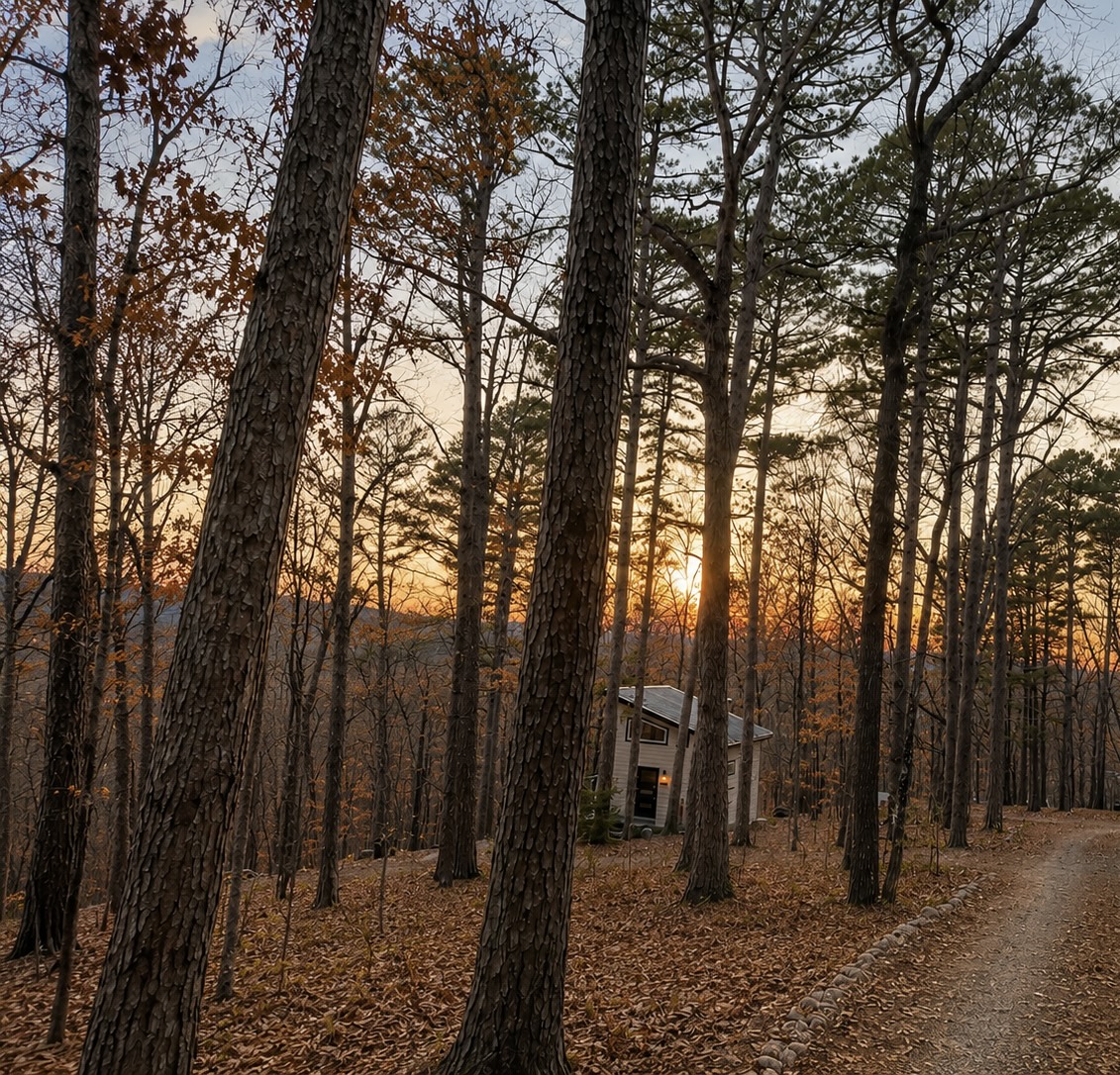 Cabin at sunset through tall pines on the Ozark ridge
